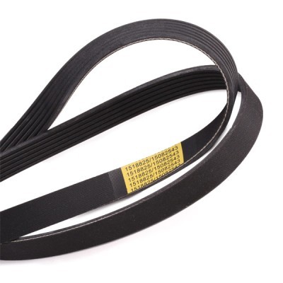 V-Ribbed Belt RIDEX 305P0406 305P0406 - photo 5