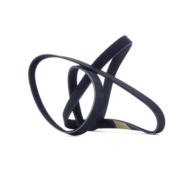 V-Ribbed Belt RIDEX 305P0466 305P0466 - photo 1
