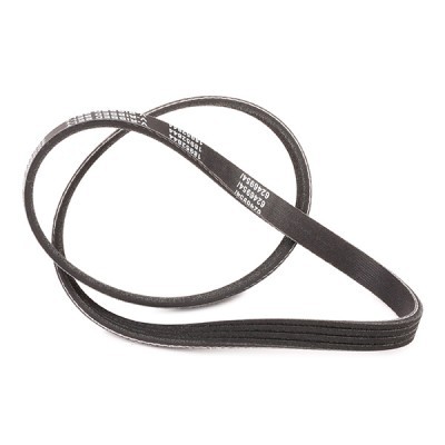 V-Ribbed Belt RIDEX 305P0434P 305P0434P - photo 3