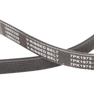 V-Ribbed Belt RIDEX 305P0327P 305P0327P - photo 5
