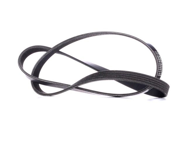 V-Ribbed Belt RIDEX 305P0039 305P0039 - photo 1