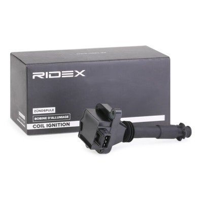 Ignition Coil RIDEX 689C0306 689C0306 - photo 2