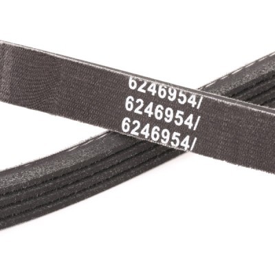 V-Ribbed Belt RIDEX 305P0167P 305P0167P - photo 5
