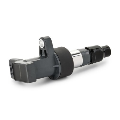 Ignition Coil RIDEX 689C0055 689C0055 - photo 6