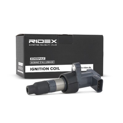 Ignition Coil RIDEX 689C0055 689C0055 - photo 3