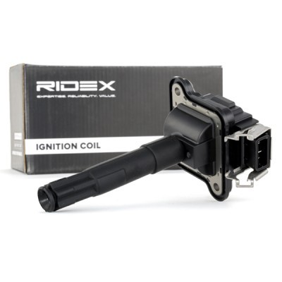 Ignition Coil RIDEX 689C0008 689C0008 - photo 3
