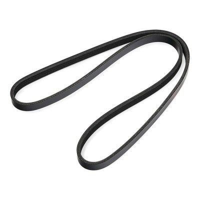 V-Ribbed Belt RIDEX 305P0606 305P0606 - photo 3