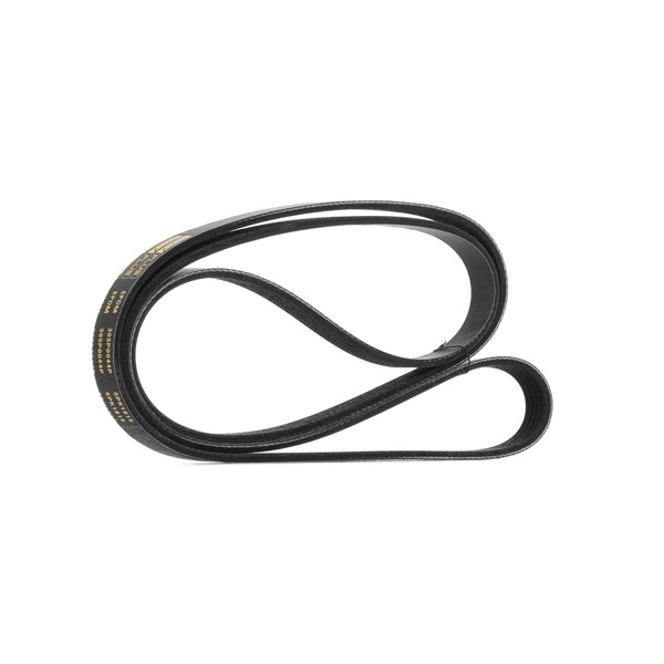 V-Ribbed Belt RIDEX 305P0044P 305P0044P - photo 1