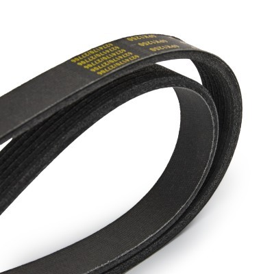 V-Ribbed Belt RIDEX 305P0114P 305P0114P - photo 5
