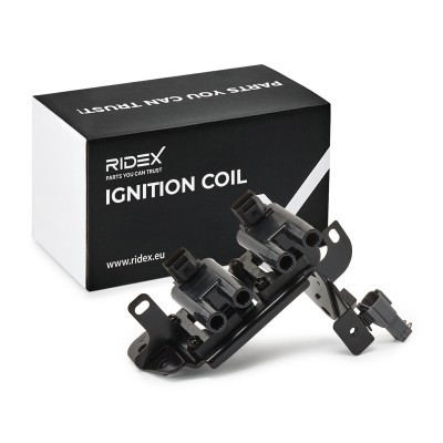 Ignition Coil RIDEX 689C0099 689C0099 - photo 2