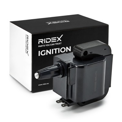 Ignition Coil RIDEX 689C0117 689C0117 - photo 2