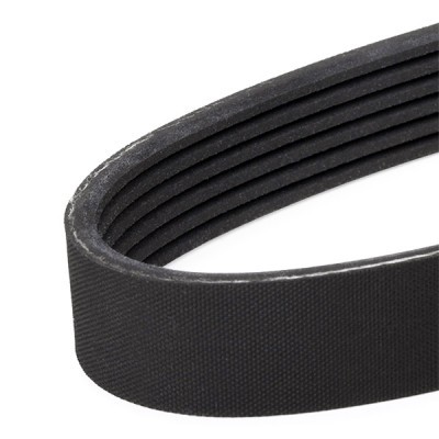 V-Ribbed Belt RIDEX 305P0334 305P0334 - photo 4