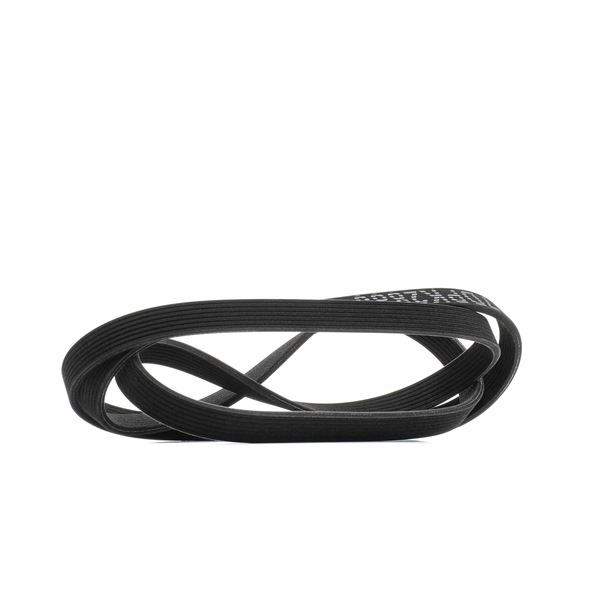 V-Ribbed Belt RIDEX 305P0461 305P0461 - photo 1