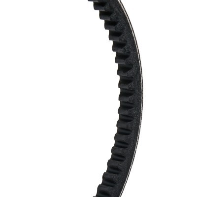 V-Belt RIDEX 10C0011P 10C0011P - photo 3
