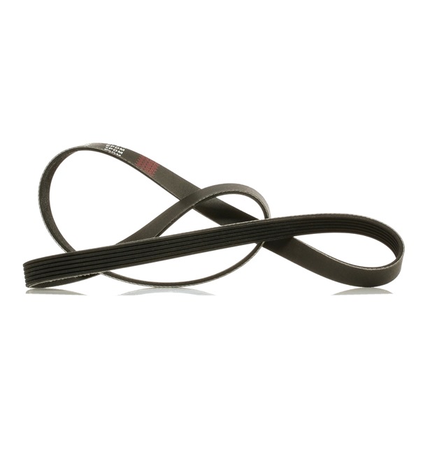 V-Ribbed Belt RIDEX 305P0224P 305P0224P - photo 1