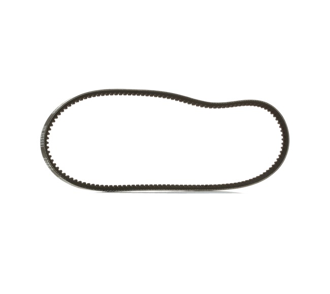 V-Belt RIDEX 10C0019P 10C0019P - photo 1