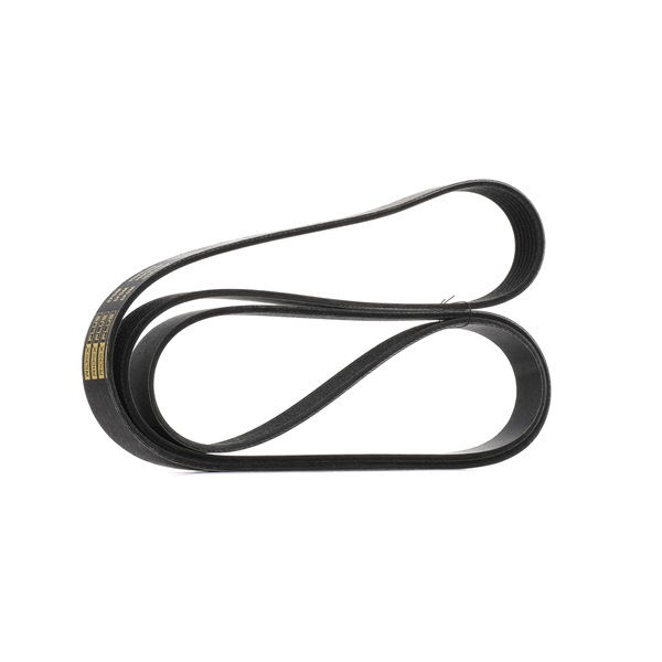 V-Ribbed Belt RIDEX 305P0108P 305P0108P - photo 1