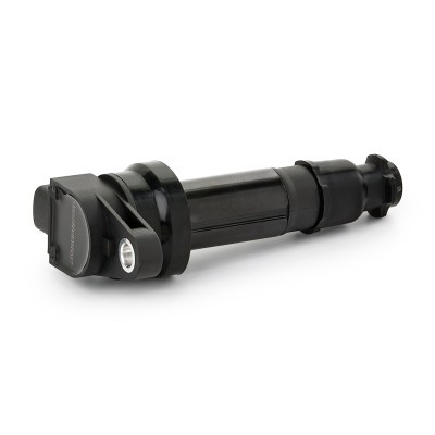 Ignition Coil RIDEX 689C0161 689C0161 - photo 6