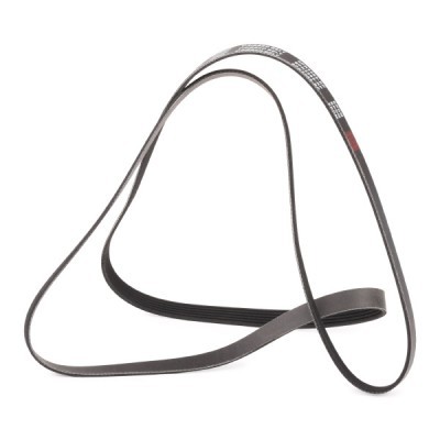 V-Ribbed Belt RIDEX 305P0216P 305P0216P - photo 4