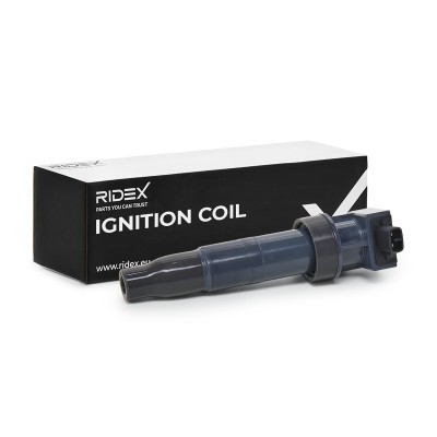 Ignition Coil RIDEX 689C0193 689C0193 - photo 2