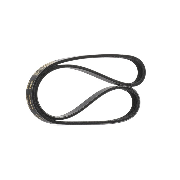 V-Ribbed Belt RIDEX 305P0019P 305P0019P - photo 1