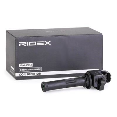 Ignition Coil RIDEX 689C0052 689C0052 - photo 3
