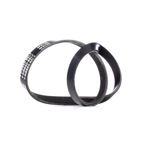 V-Ribbed Belt RIDEX 305P0354 305P0354 - photo 1
