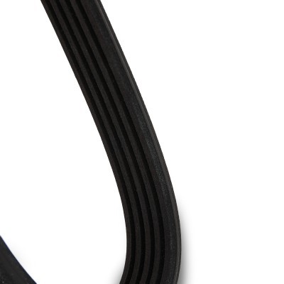 V-Ribbed Belt RIDEX 305P0294 305P0294 - photo 3