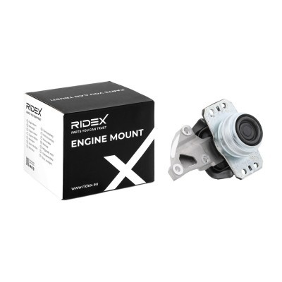 Engine Mounting RIDEX 247E0195 247E0195 - photo 2