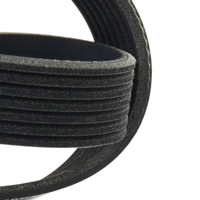 V-Ribbed Belt RIDEX 305P0569 305P0569 - photo 4