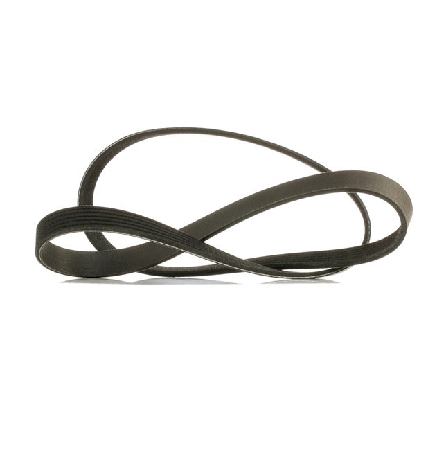 V-Ribbed Belt RIDEX 305P0396P 305P0396P - photo 1