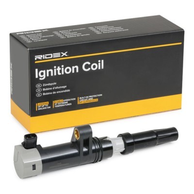 Ignition Coil RIDEX 689C0002 689C0002 - photo 2