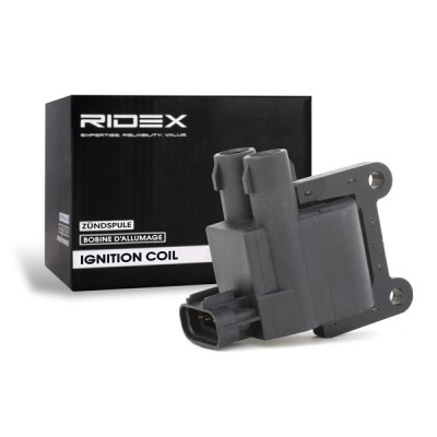 Ignition Coil RIDEX 689C0121 689C0121 - photo 3