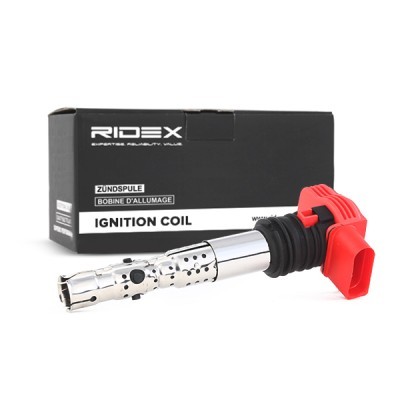 Ignition Coil RIDEX 689C0025 689C0025 - photo 3