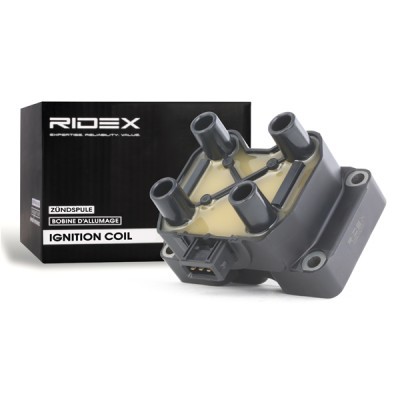 Ignition Coil RIDEX 689C0053 689C0053 - photo 4