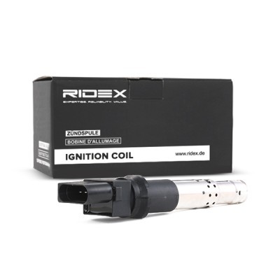 Ignition Coil RIDEX 689C0023 689C0023 - photo 3