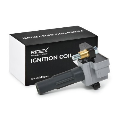 Ignition Coil RIDEX 689C0238 689C0238 - photo 2