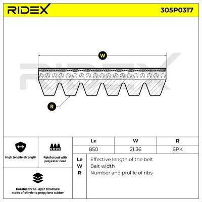 V-Ribbed Belt RIDEX 305P0317 305P0317 - photo 4
