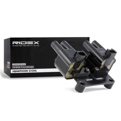 Ignition Coil RIDEX 689C0093 689C0093 - photo 3