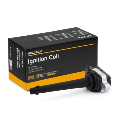 Ignition Coil RIDEX 689C0106 689C0106 - photo 2
