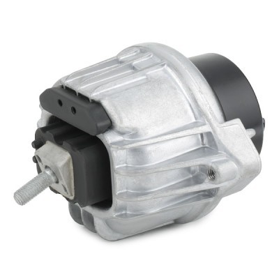 Engine Mounting RIDEX 247E0419 247E0419 - photo 3