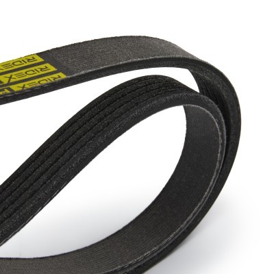 V-Ribbed Belt RIDEX 305P0025P 305P0025P - photo 5