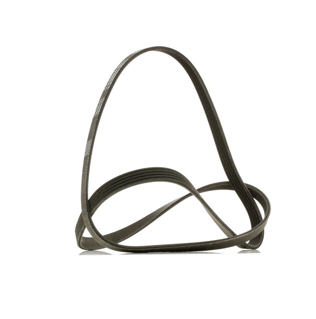 V-Ribbed Belt RIDEX 305P0315P 305P0315P - photo 1