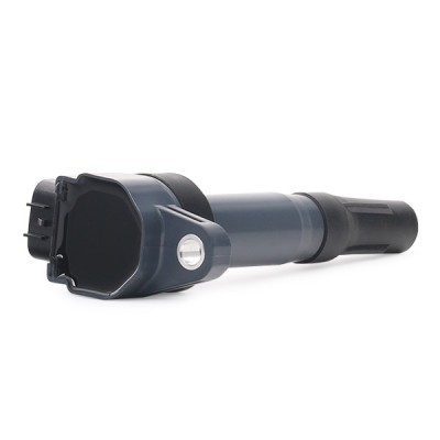 Ignition Coil RIDEX 689C0371 689C0371 - photo 3