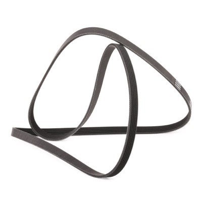 V-Ribbed Belt RIDEX 305P0149P 305P0149P - photo 3