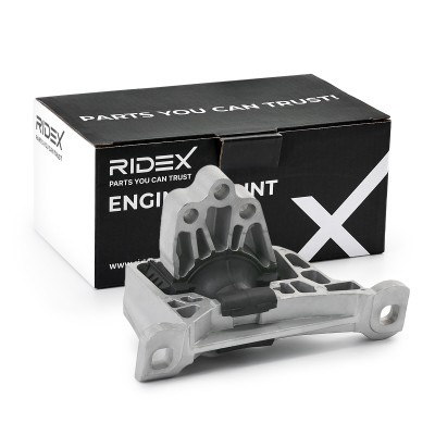 Engine Mounting RIDEX 247E0667 247E0667 - photo 2