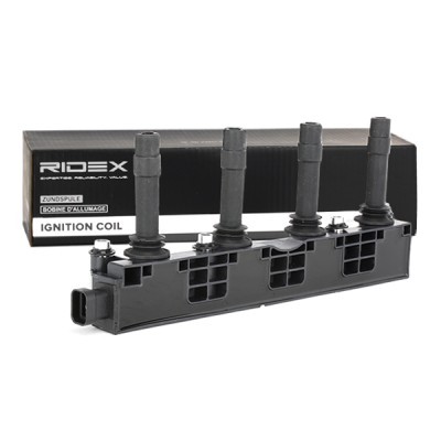 Ignition Coil RIDEX 689C0011 689C0011 - photo 3