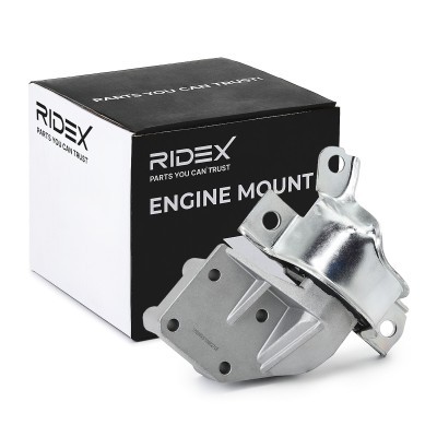 Engine Mounting RIDEX 247E0700 247E0700 - photo 2