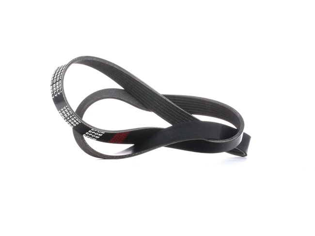 V-Ribbed Belt RIDEX 305P0320 305P0320 - photo 1