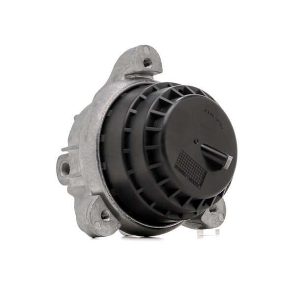 Engine Mounting RIDEX 247E1051 247E1051 - photo 1